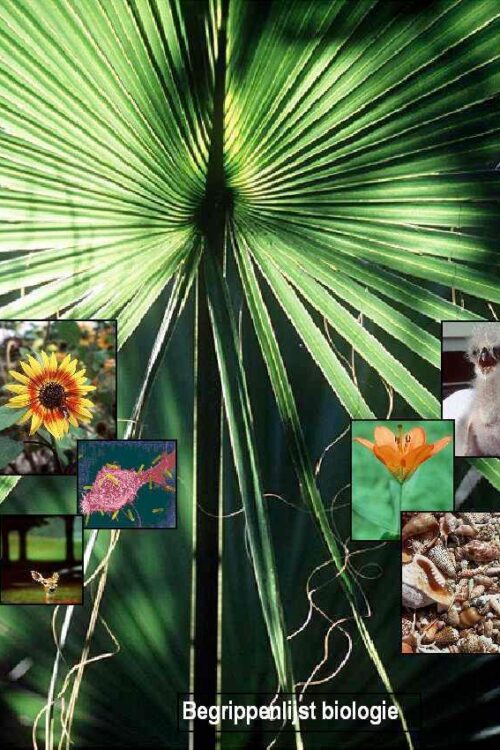 begrippenlijst-biologie Begrippenlijst Biologie