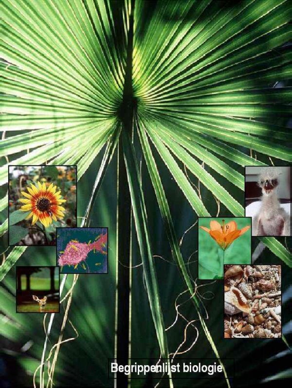 Begrippenlijst Biologie